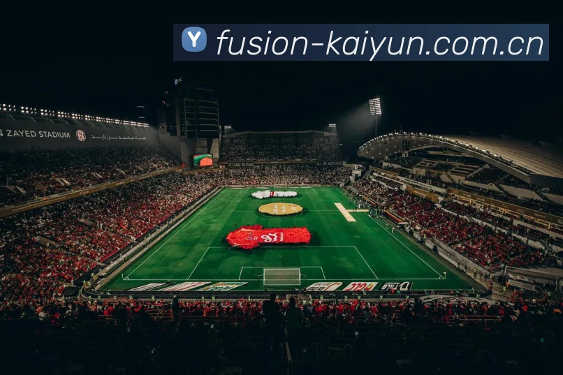 开云官网APP 体育赛事宣传图